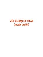 Viêm giác mạc do nấm potx