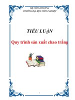 TIỂU LUẬN: Quy trình sản xuất chao trắng pot