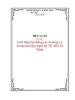 TIỂU LUẬN: Giới thiệu hệ thống các Trường và Trung tâm dạy nghề tại TP. Hồ Chí Minh ppt