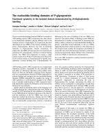 Báo cáo khoa học: Functional symmetry in the isolated domain demonstrated by N-ethylmaleimide labelling pdf