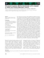 Báo cáo khoa học: The pivotal regulator GlnB of Escherichia coli is engaged in subtle and context-dependent control potx