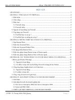 Đề tài “TÌM HIỂU VỀ TƯỜNG LỬA” ppt