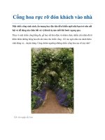 Cổng hoa rực rỡ đón khách vào nhà ppt