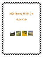 Một thoáng Si Ma Cai (Lào Cai) docx