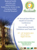 REGIONAL HEALTH PRIORITIES AND OPPORITIES: ''''EVIDENCE FOR ACTION IN THE CHANGING GLOBAL FINANCIAL SITUATION'''' ppt
