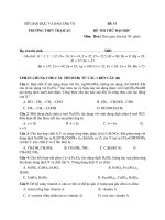 SỞ GIÁO DỤC VÀ ĐÀO TẠO TN TRƯỜNG THPT TRẠI CAU ĐỀ 13 docx