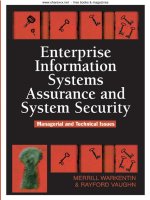 enterprise information systems assurance & system security - managerial & technical issues
