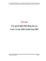 Tiểu luận: Các quyết định Hội đồng bảo an trước và sau chiến tranh Iraq 2003 docx