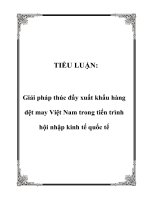 TIỂU LUẬN: Giải pháp thúc đẩy xuất khẩu hàng dệt may Việt Nam trong tiến trình hội nhập kinh tế quốc tế ppt