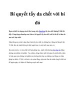 Bí quyết tẩy da chết với bí đỏ pdf