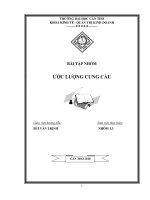 TIỂU LUẬN: ƯỚC LƯỢNG CUNG CẦU docx