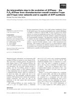 Báo cáo khoa học: An intermediate step in the evolution of ATPases ) the F1F0-ATPase from Acetobacterium woodii contains F-type and V-type rotor subunits and is capable of ATP synthesis Michael Fritz and Volker Muller ¨ docx