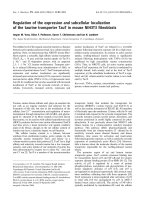 Báo cáo khoa học: Regulation of the expression and subcellular localization of the taurine transporter TauT in mouse NIH3T3 ﬁbroblasts doc