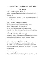Quy trình thực hiện chiến dịch SMS marketing potx