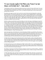 Vì sao truyện ngắn Chí Phèo của Nam Cao lại được coi là kiệt tác? – bản mẫu 1