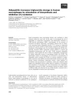 Báo cáo khoa học: Adipophilin increases triglyceride storage in human macrophages by stimulation of biosynthesis and inhibition of b-oxidation doc