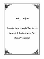 TIỂU LUẬN: Báo cáo thực tập tại Công ty xây dựng số 7 thuộc công ty Xây Dựng Vinaconex docx