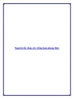 Nguyên tắc chọn cây trồng hợp phong thủy potx