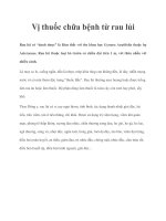 Vị thuốc chữa bệnh từ rau lủi ppt