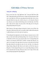 Giới thiệu về Proxy Servers ppt
