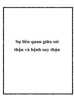 Sự liên quan giữa sỏi thận và bệnh suy thận ppt