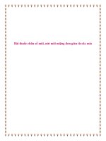 Bài thuốc chữa sổ mũi, nứt môi miệng đơn giản từ cây mía. pptx