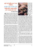 MỘT SỐ ĐIỂM CHÚ Ý KHI TRỒNG XOÀI CÁT HÒA LỘC TRÊN ĐẤT XÁM NHIỀU CÁTVÙNG BẢY NÚI doc