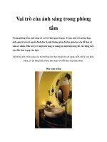 Vai trò của ánh sáng trong phòng tắm pdf