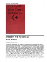 CRESCENT AND IRON CROSS pdf