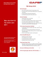 Báo cáo kinh tế tài chính năm 2011 docx