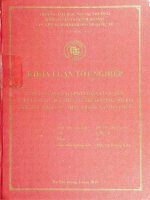 công tác hoạch định chiến lược của tổng công ty cổ phần may việt tiến tại thị trường nội địa khu vực phía bắc. thực trạng và giải pháp