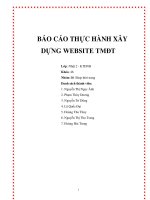 Tiểu luận:Xây dựng website thương mại điện tử pdf
