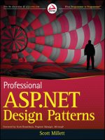Professional ASP.NET Design Patterns pptx