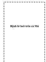 Bệnh lở loét trên cá Mú docx