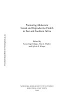 Promoting Adolescent Sexual and Reproductive Health in East and Southern Africa pptx