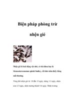 Biện pháp phòng trừ nhện gié potx