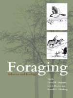 Foraging: Behavior and Ecology docx