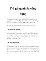 Trà gừng nhiều công dụng doc