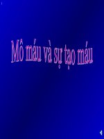 Mô máu và sự tạo máu docx