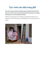 Tạo vườn cho nhà trong phố potx