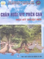 chăn nuôi vịt trên cạn một số kỹ thuật mới