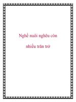 Nghề nuôi nghêu còn nhiều trăn trở docx