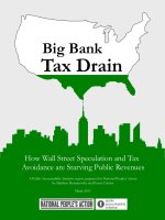 Big Bank Tax Drain - How Wall Street Speculation and Tax Avoidance are Starving Public Revenues pot