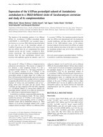Báo cáo Y học: Expression of the V-ATPase proteolipid subunit of Acetabularia acetabulum in a VMA3-deﬁcient strain of Saccharomyces cerevisiae and study of its complementation pdf