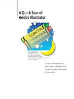 A quick tour of adobe Illustrator pot