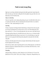 Nuôi cá mú trong lồng pot