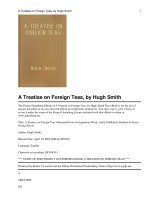 A Treatise on Foreign Teas pot