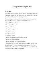 Kỹ thuật nuôi cá song (cá mú) pdf