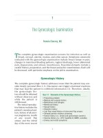 The Gynecologic Examination potx