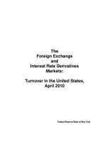 The Foreign Exchange and Interest Rate Derivatives Markets: Turnover in the United States, April 2010 doc